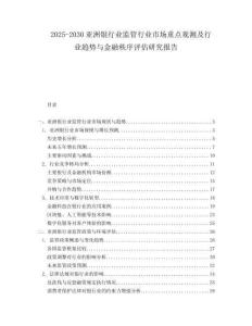 2025-2030亞洲銀行業(yè)監(jiān)管行業(yè)市場重點觀測及行業(yè)趨勢與金融秩序評估研究報告