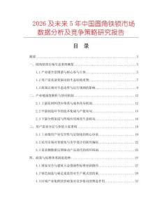 2026及未來5年中國圓角鐵鎖市場數據分析及競爭策略研究報告