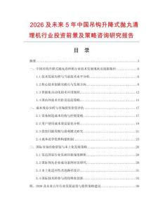 2026及未來5年中國吊鉤升降式拋丸清理機行業投資前景及策略咨詢研究報告