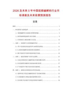 2026及未來5年中國視頻編解碼行業市場調查及未來前景預測報告