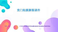 賁門粘膜撕裂課件經(jīng)典解讀與應(yīng)用示范