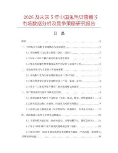 2026及未來5年中國兔毛貝雷帽子市場(chǎng)數(shù)據(jù)分析及競(jìng)爭(zhēng)策略研究報(bào)告