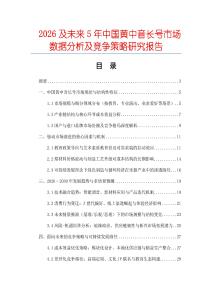 2026及未來5年中國黃中音長號市場數據分析及競爭策略研究報告
