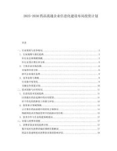 2025-2030藥品流通企業信息化建設布局投資計劃