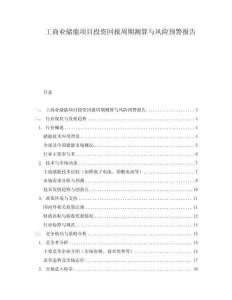 工商業(yè)儲(chǔ)能項(xiàng)目投資回報(bào)周期測算與風(fēng)險(xiǎn)預(yù)警報(bào)告