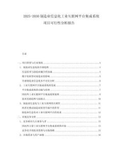 2025-2030制造業信息化工業互聯網平臺集成系統項目可行性分析報告