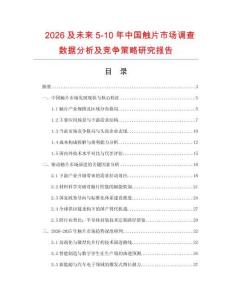 2026及未來5-10年中國觸片市場調查數據分析及競爭策略研究報告