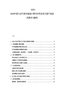 2025-2030中國工業(yè)氣體市場進(jìn)口替代空間及電子級(jí)產(chǎn)品技術(shù)要求與壁壘