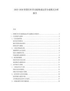 2025-2030智慧燈桿多功能集成運(yùn)營分成模式分析報(bào)告