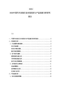 2025-2030中國汽車改裝行業(yè)市場現(xiàn)狀與產(chǎn)品創(chuàng)新分析研究報告