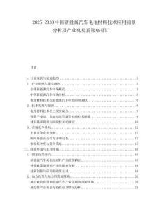 2025-2030中國新能源汽車電池材料技術應用前景分析及產業化發展策略研訂