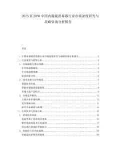 2025至2030中國內窺鏡消毒器行業市場深度研究與戰略咨詢分析報告