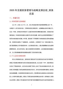 2025年全面財(cái)務(wù)管理與戰(zhàn)略支撐總結(jié)_財(cái)務(wù)總監(jiān)