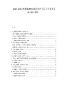 2025-2030武器彈藥制造行業(yè)競爭力分析投資建議規(guī)劃研究報告