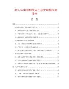 2025年中國(guó)熔鹽電加熱爐數(shù)據(jù)監(jiān)測(cè)報(bào)告
