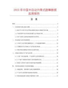 2025年中國半自動升降式路障數(shù)據(jù)監(jiān)測報告