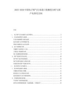 2025-2030中國電子特氣行業進口依賴度分析與國產化替代空間