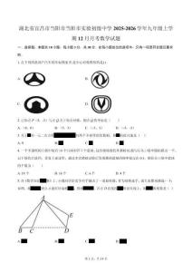 湖北省宜昌市當陽市當陽市實驗初級中學2025-2026學年九年級上學期12月月考數(shù)學試題（含答案）
