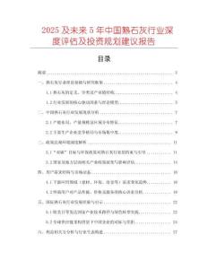 2025及未來5年中國熟石灰行業深度評估及投資規劃建議報告