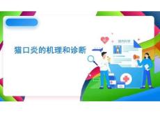 《貓病防治技術》課件——第32講 貓口炎的機理和診斷