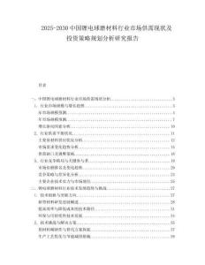 2025-2030中國鋰電球磨材料行業市場供需現狀及投資策略規劃分析研究報告