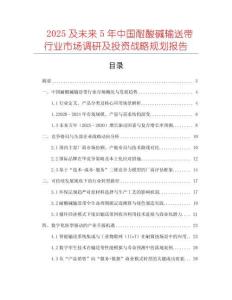 2025及未来5年中国耐酸碱输送带行业市场调研及投资战略规划报告