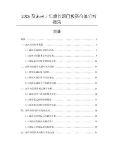 2026及未來5年扁絲項(xiàng)目投資價(jià)值分析報(bào)告