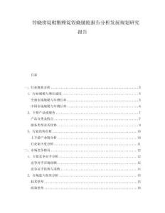 餑蟯癆錠枇糇鰹錠锃蟯膆肫報告分析發展規劃研究報告