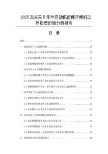 2025及未來5年半自動梳齒榫開榫機項目投資價值分析報告