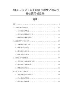 2026及未來(lái)5年超細(xì)重質(zhì)碳酸鈣項(xiàng)目投資價(jià)值分析報(bào)告