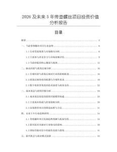 2026及未來5年帶墊螺絲項目投資價值分析報告