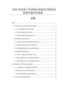 2026及未来5年活性针状硅灰石粉项目投资价值分析报告
