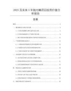 2025及未來5年拋光精項目投資價值分析報告