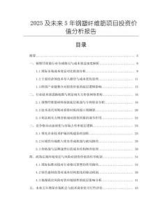 2025及未來5年鋼塑纖維筋項目投資價值分析報告