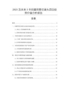 2025及未來5年吹膜用管芯堵頭項目投資價值分析報告