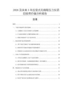 2026及未來5年應(yīng)變式無側(cè)限壓力儀項(xiàng)目投資價(jià)值分析報(bào)告
