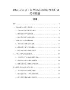 2025及未來5年貴妃雞翅項目投資價值分析報告