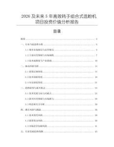 2026及未來5年高效轉子組合式選粉機項目投資價值分析報告