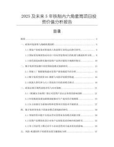 2025及未來(lái)5年鐵制內(nèi)六角套筒項(xiàng)目投資價(jià)值分析報(bào)告