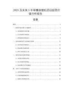 2025及未來5年單槽滾鍍機項目投資價值分析報告