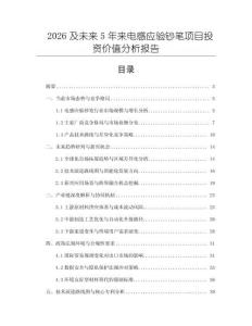 2026及未來(lái)5年來(lái)電感應(yīng)驗(yàn)鈔筆項(xiàng)目投資價(jià)值分析報(bào)告