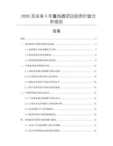 2026及未來5年量熱器項目投資價值分析報告