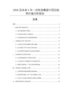 2026及未來5年一次性消毒濕巾項目投資價值分析報告