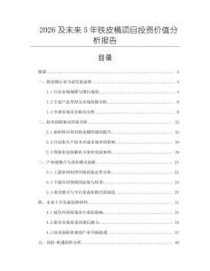 2026及未來5年鐵皮桶項目投資價值分析報告
