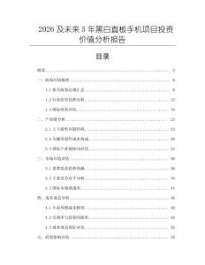 2026及未來5年黑白直板手機項目投資價值分析報告