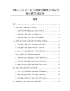 2025及未來5年保溫隔熱用炭氈項目投資價值分析報告