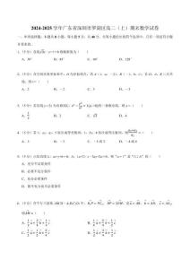 2024-2025學(xué)年深圳市羅湖區(qū)高二(上)期末數(shù)學(xué)試卷及答案