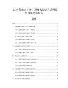 2026及未來5年中距離微型噴頭項目投資價值分析報告
