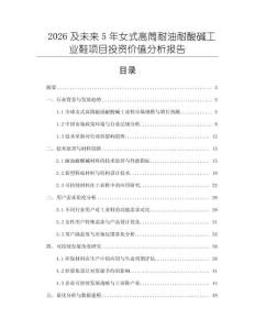 2026及未来5年女式高筒耐油耐酸碱工业鞋项目投资价值分析报告