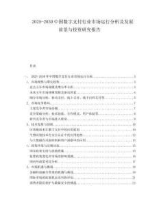 2025-2030中國數字支付行業市場運行分析及發展前景與投資研究報告
